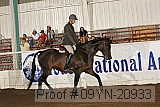 09yn-20933 proof