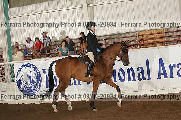 Proof 09yn-20934