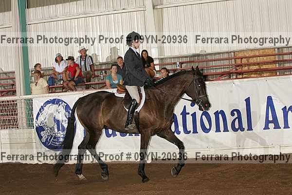 Proof 09yn-20936