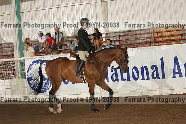 Proof 09yn-20938
