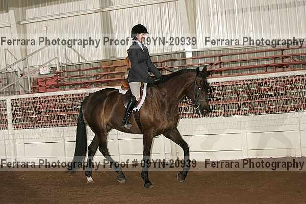 Proof 09yn-20939