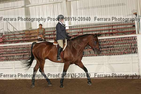 Proof 09yn-20940