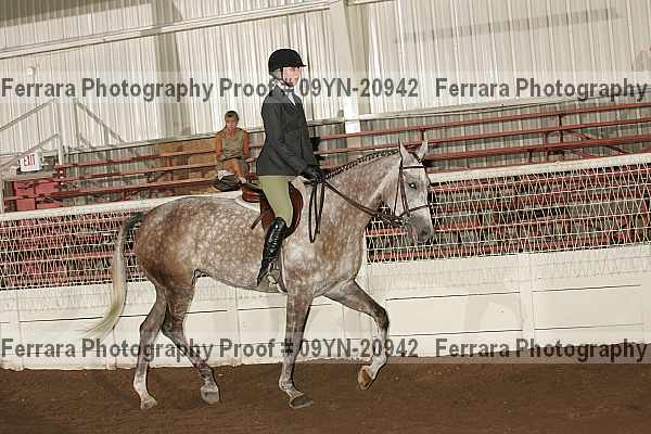 Proof 09yn-20942