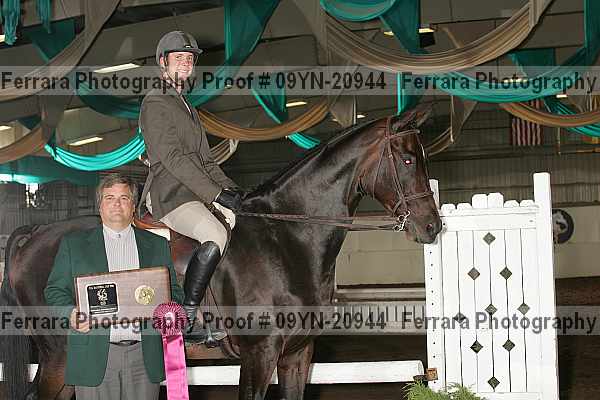 Proof 09yn-20944