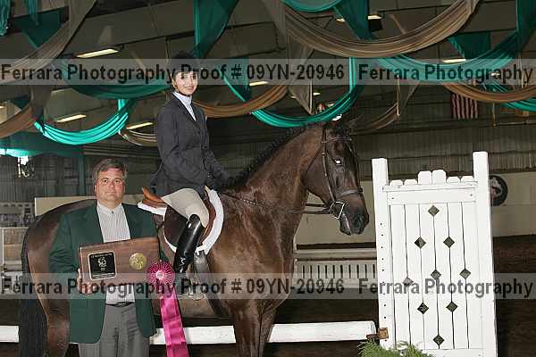 Proof 09yn-20946