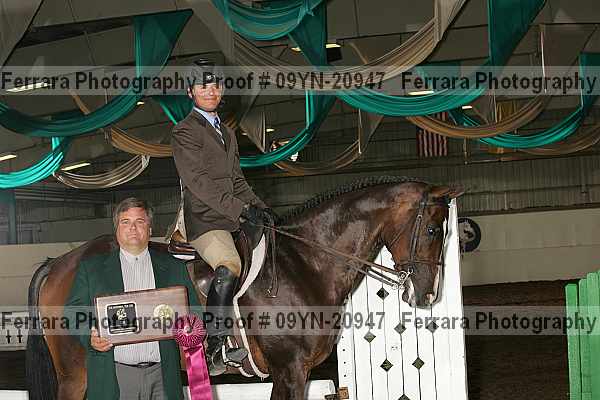 Proof 09yn-20947