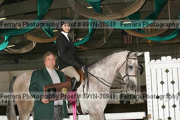 Proof 09yn-20949