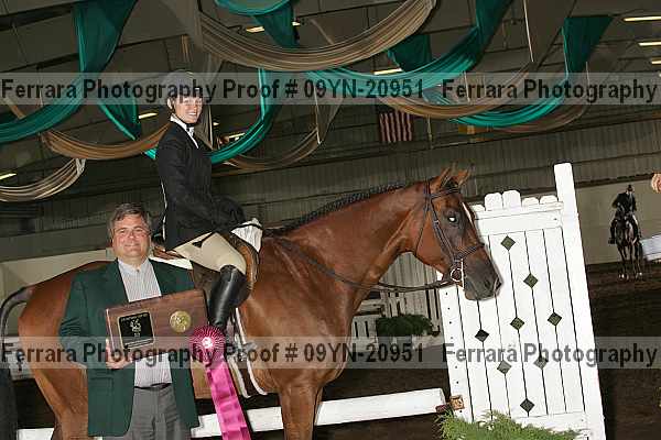 Proof 09yn-20951