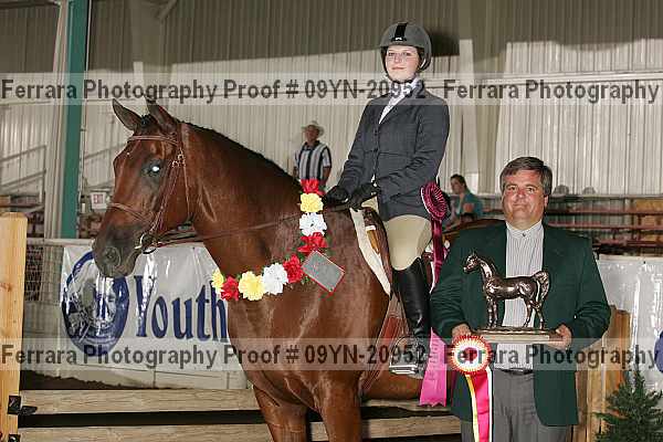 Proof 09yn-20952