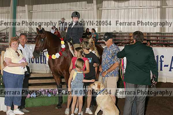 Proof 09yn-20954