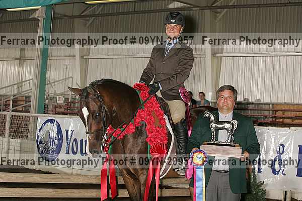 Proof 09yn-20957