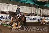 09yn-20964 proof