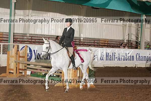 Proof 09yn-20965