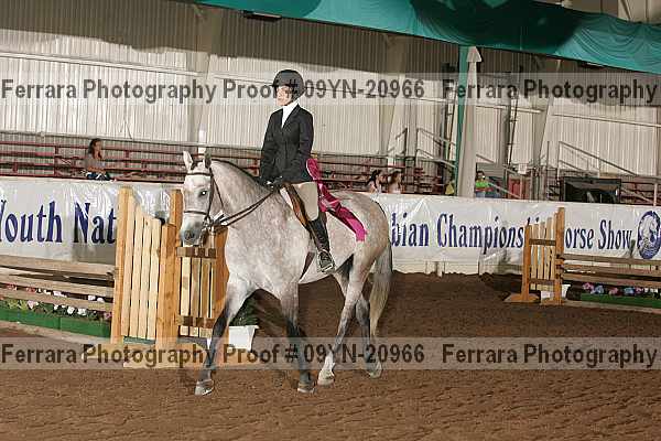 Proof 09yn-20966