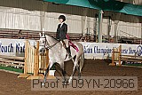 09yn-20966 proof