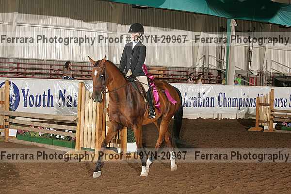 Proof 09yn-20967