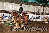 09yn-20968 proof