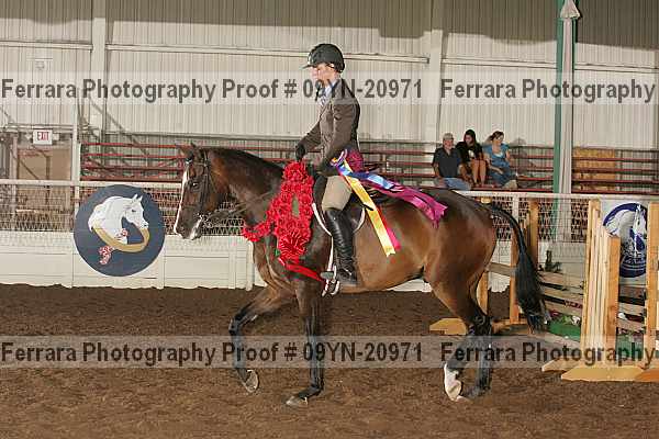 Proof 09yn-20971