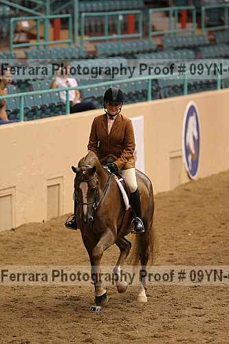 Proof 09yn-03321