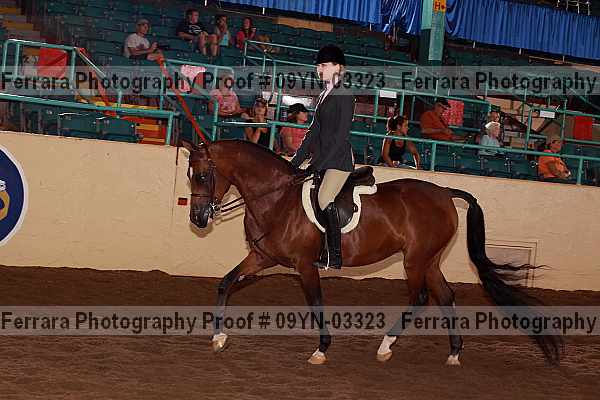 Proof 09yn-03323