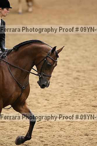Proof 09yn-03324