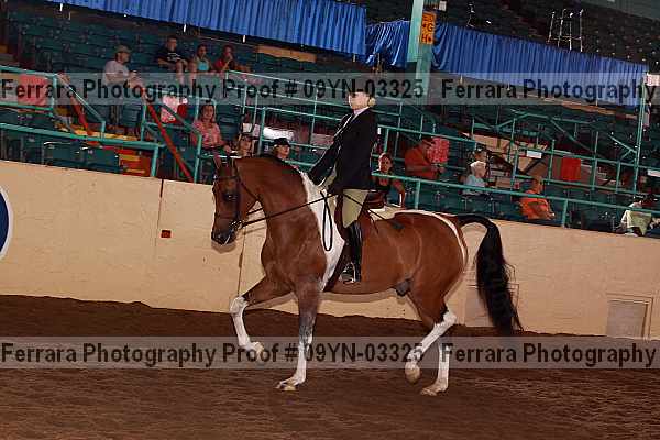 Proof 09yn-03325