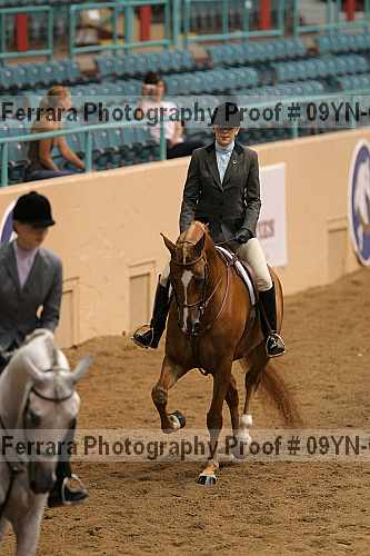 Proof 09yn-03326