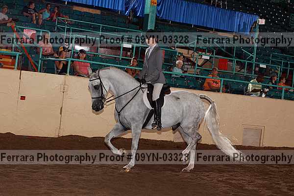 Proof 09yn-03328