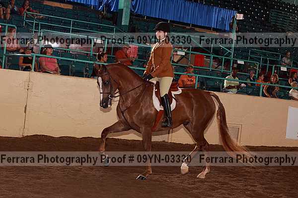 Proof 09yn-03330