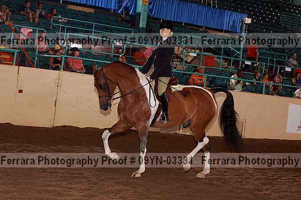 Proof 09yn-03331