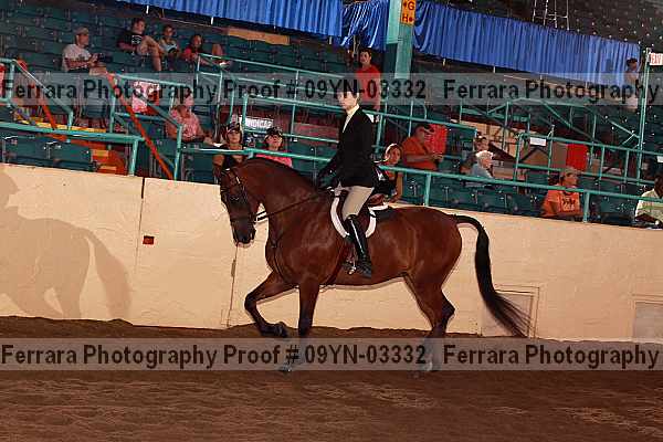 Proof 09yn-03332