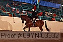09yn-03332 proof
