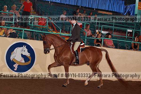 Proof 09yn-03333