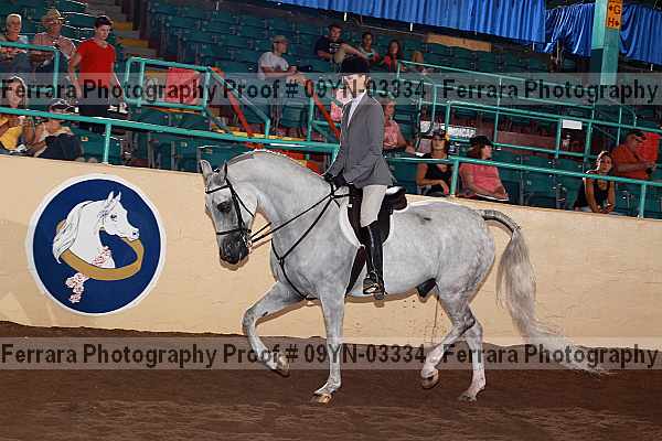 Proof 09yn-03334