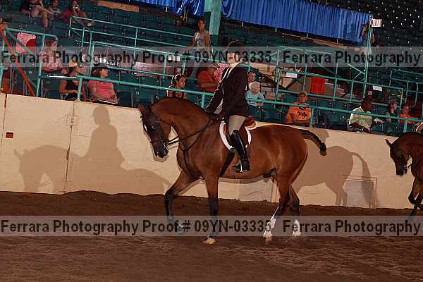 Proof 09yn-03335