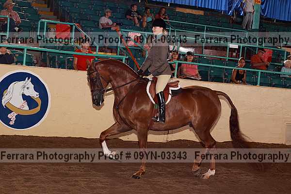 Proof 09yn-03343