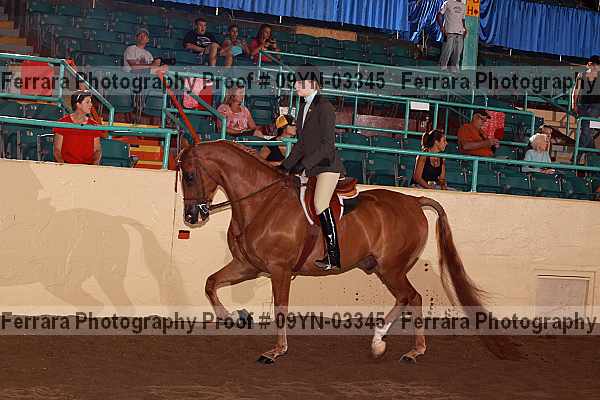 Proof 09yn-03345