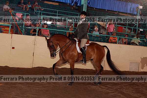Proof 09yn-03353