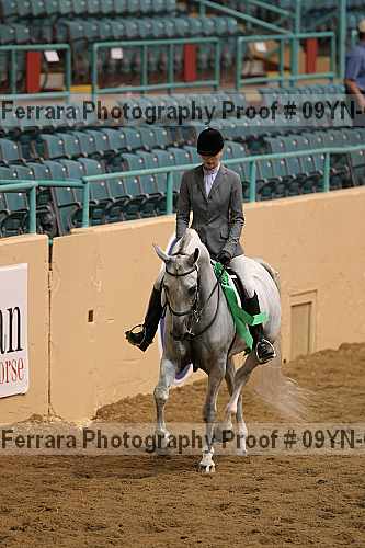 Proof 09yn-03362
