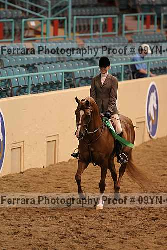 Proof 09yn-03368