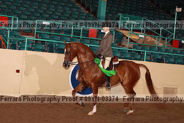 Proof 09yn-03374