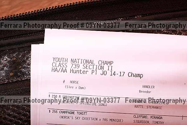 Proof 09yn-03377