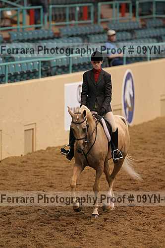 Proof 09yn-03381