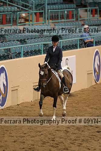 Proof 09yn-03383
