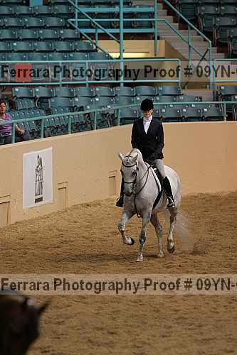 Proof 09yn-03391