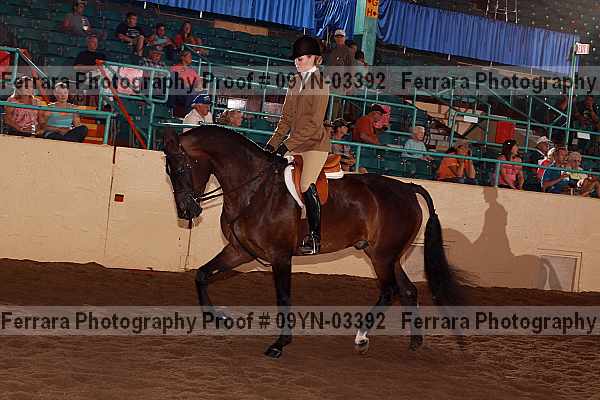 Proof 09yn-03392