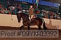 09yn-03392 proof