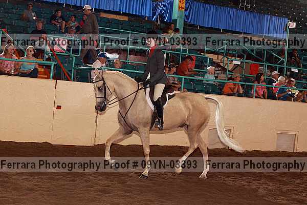 Proof 09yn-03393