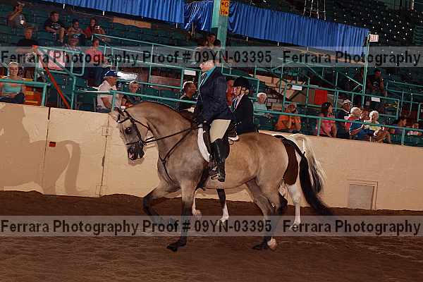 Proof 09yn-03395
