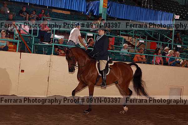 Proof 09yn-03397